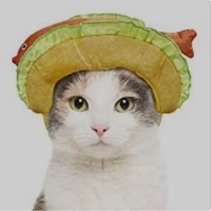 Hyde & Eek Cat Fish Taco Hat